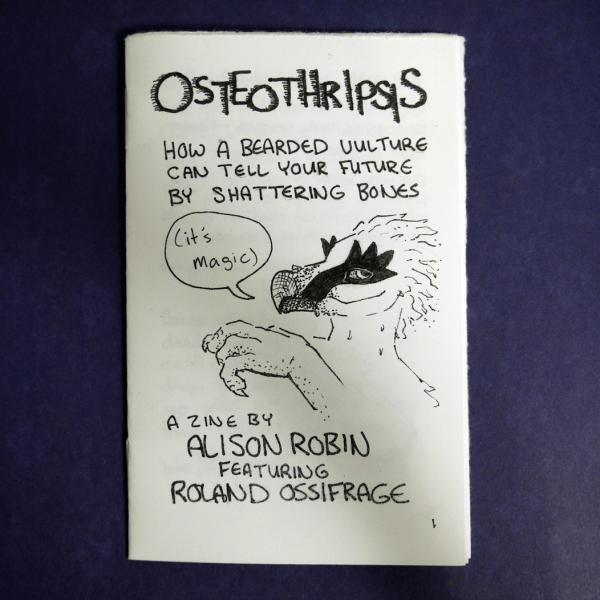 A zine, featuring a bearded vulture character stating "It's Magic" on the cover